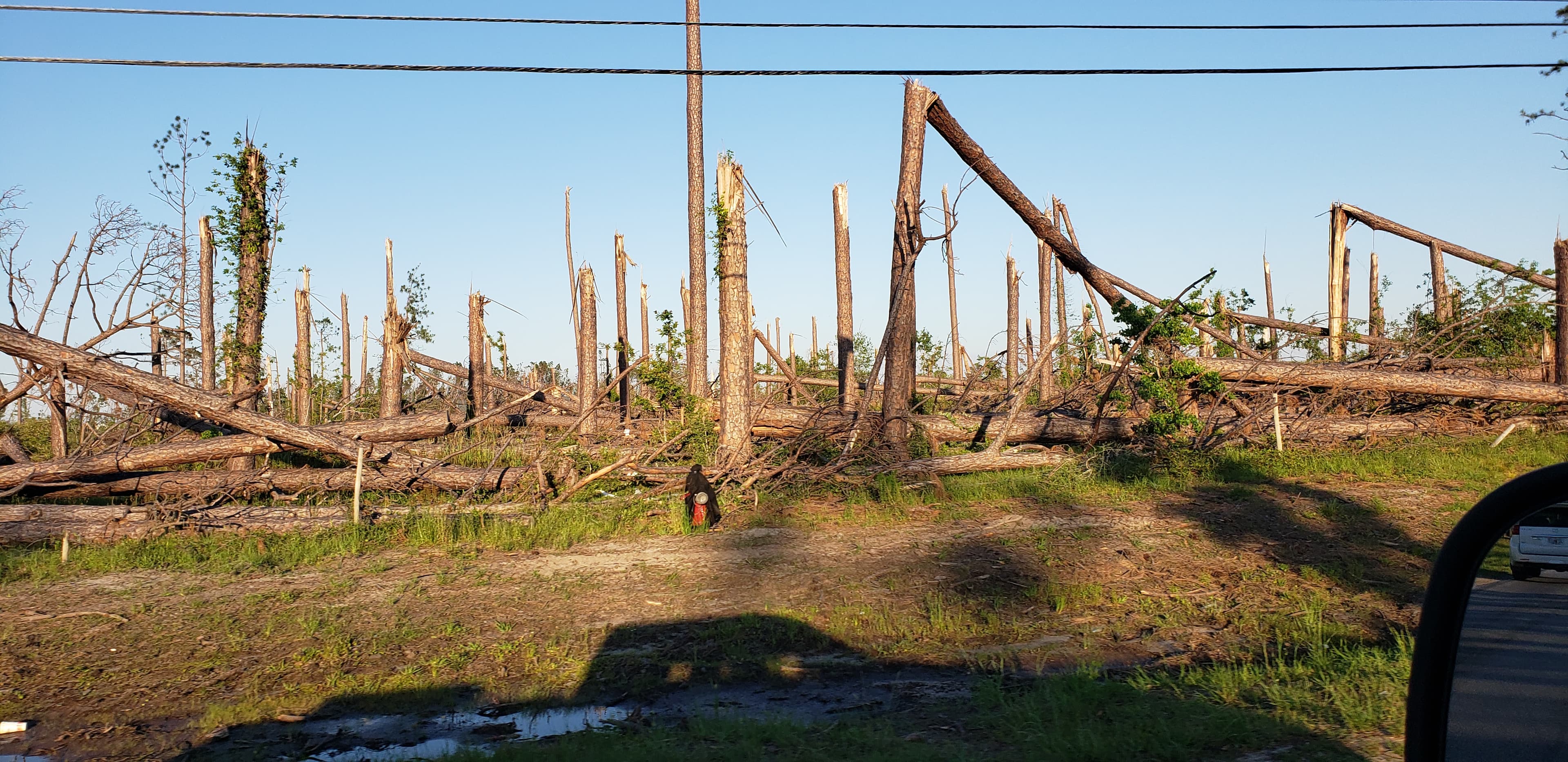 Dickey Family Photo 03